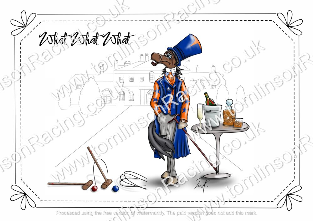 Cartoon A4 Framed Picture of What What What