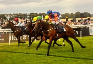 Blue Winning at Beverley