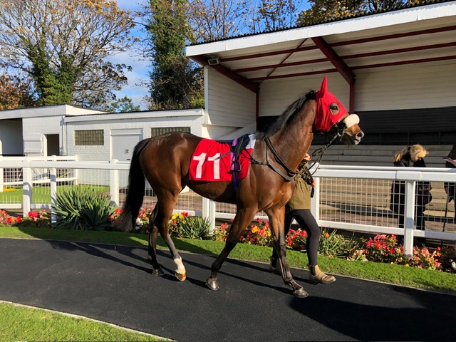 Simmy legacy Redcar 1