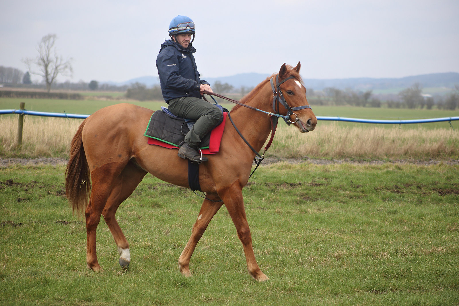 WhatsApp Image 2026-03-07 at 18.11.41