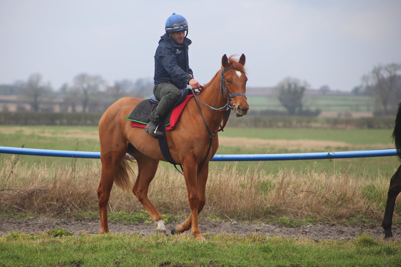 WhatsApp Image 2026-03-08 at 09.03.38