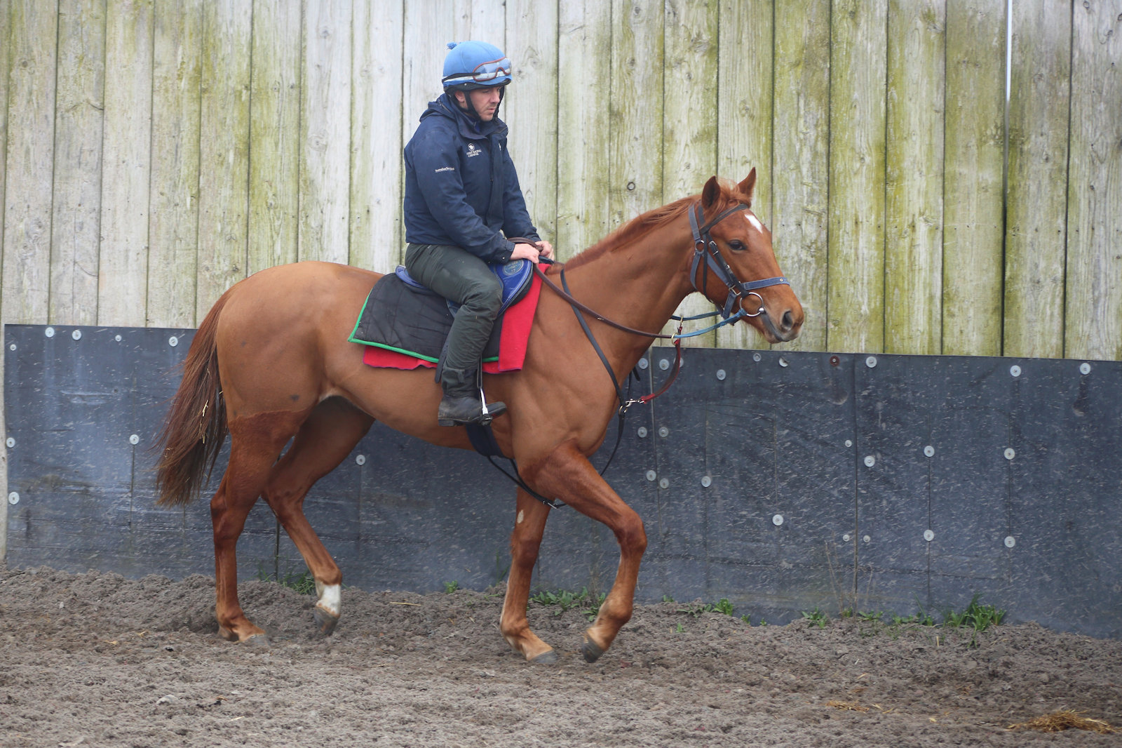 WhatsApp Image 2026-03-08 at 09.03.391