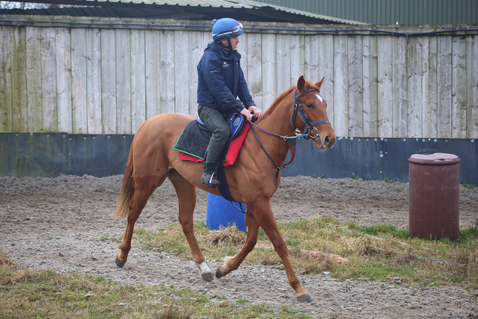 WhatsApp Image 2026-03-08 at 09.03.392