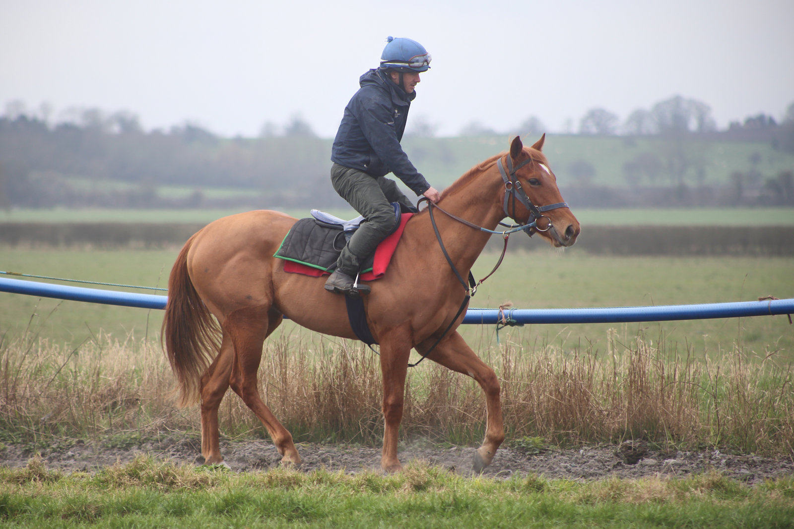 WhatsApp Image 2026-03-08 at 09.03.4