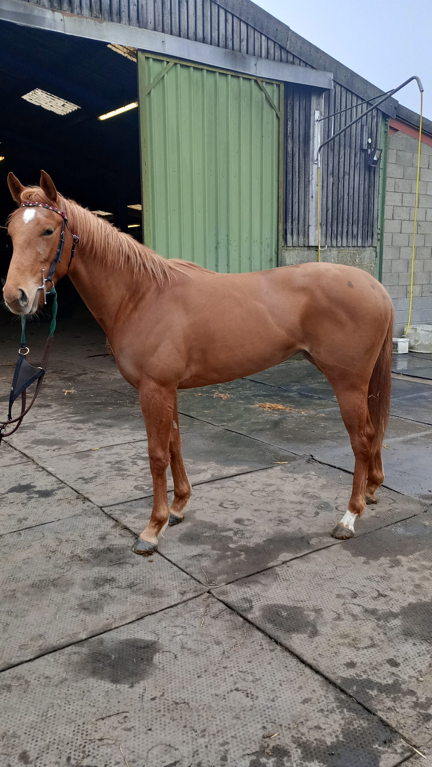 IMG_20260321_095357_HDR