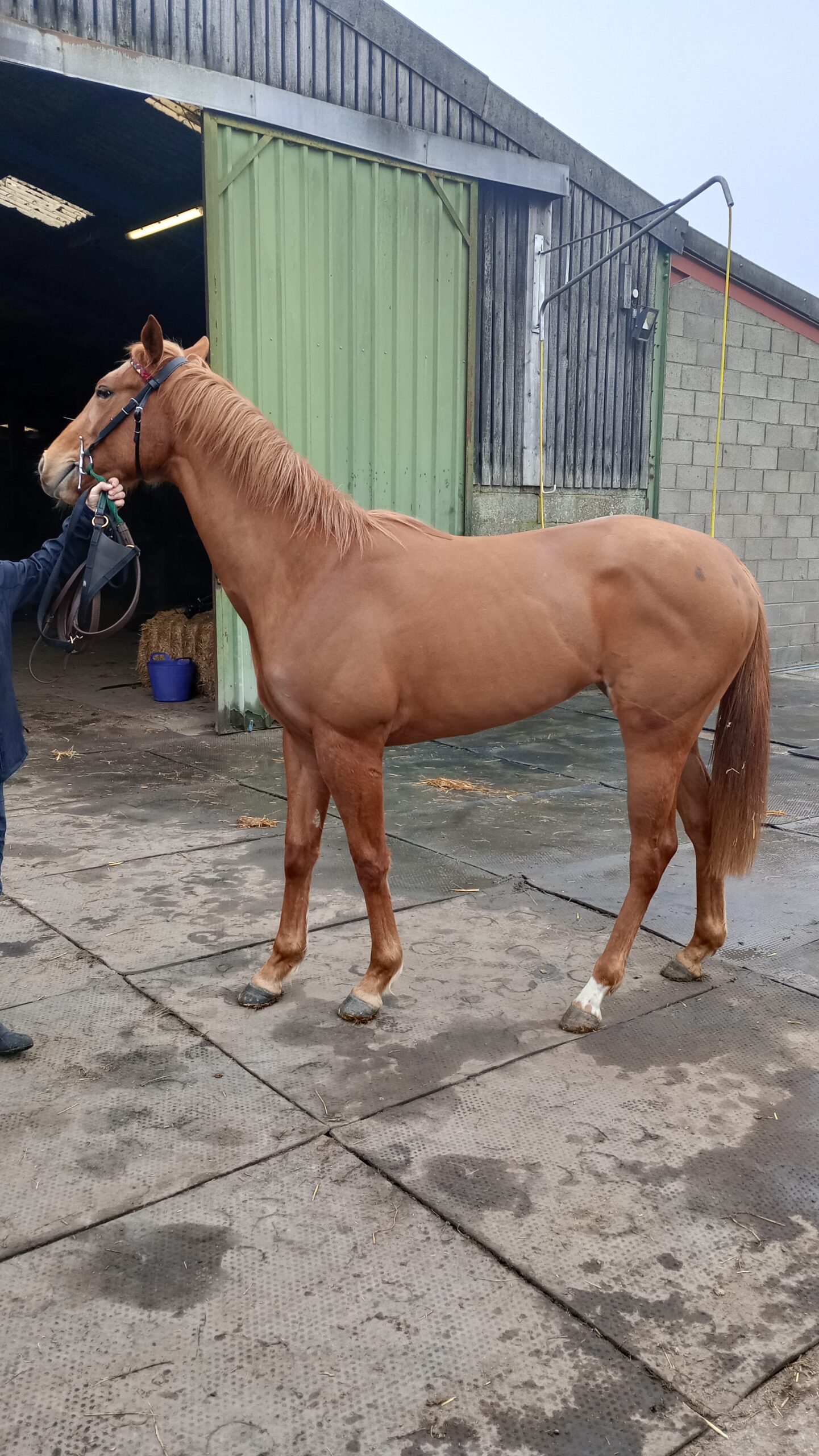 IMG_20260321_095405_HDR