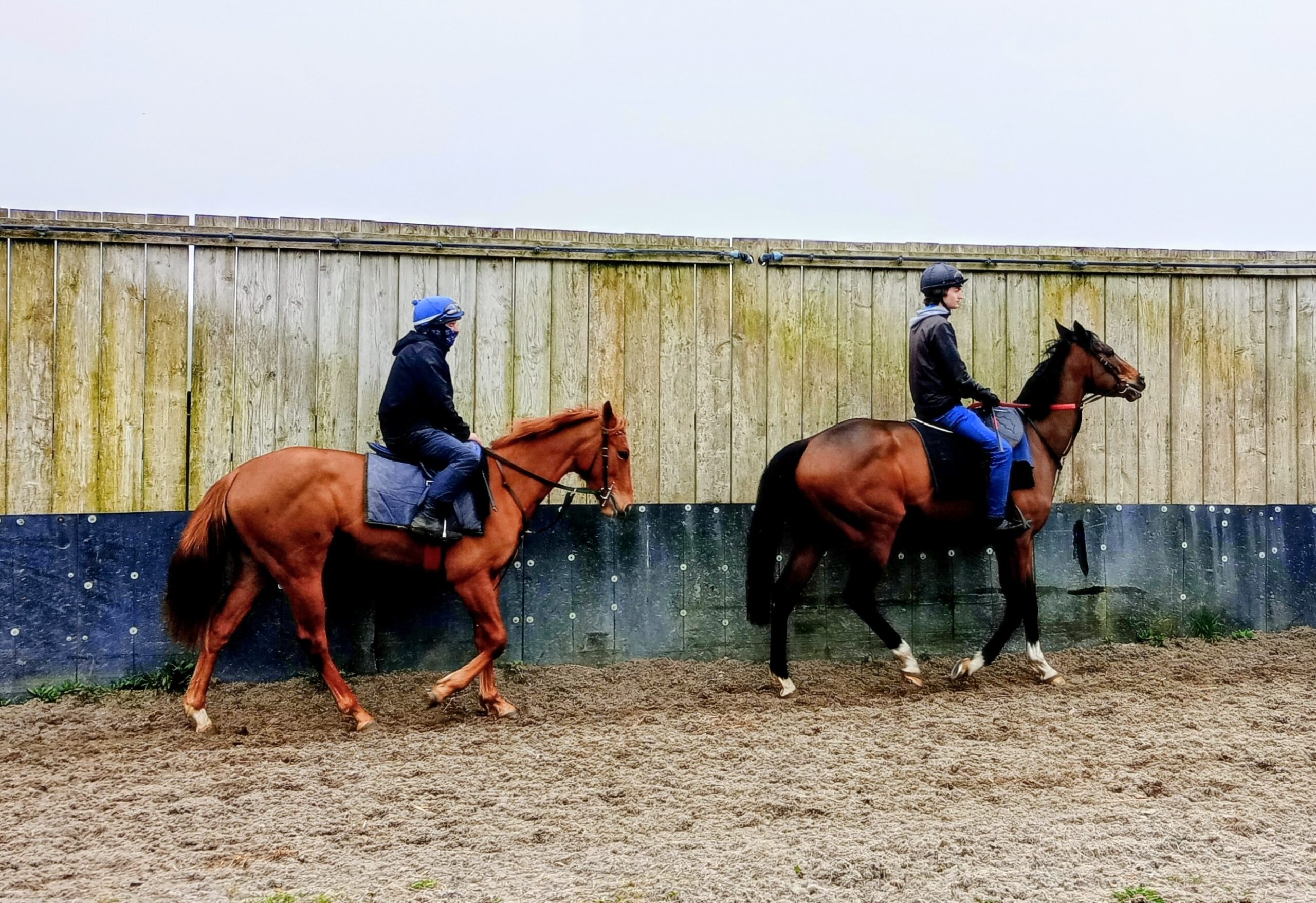 IMG_20260321_100136~2