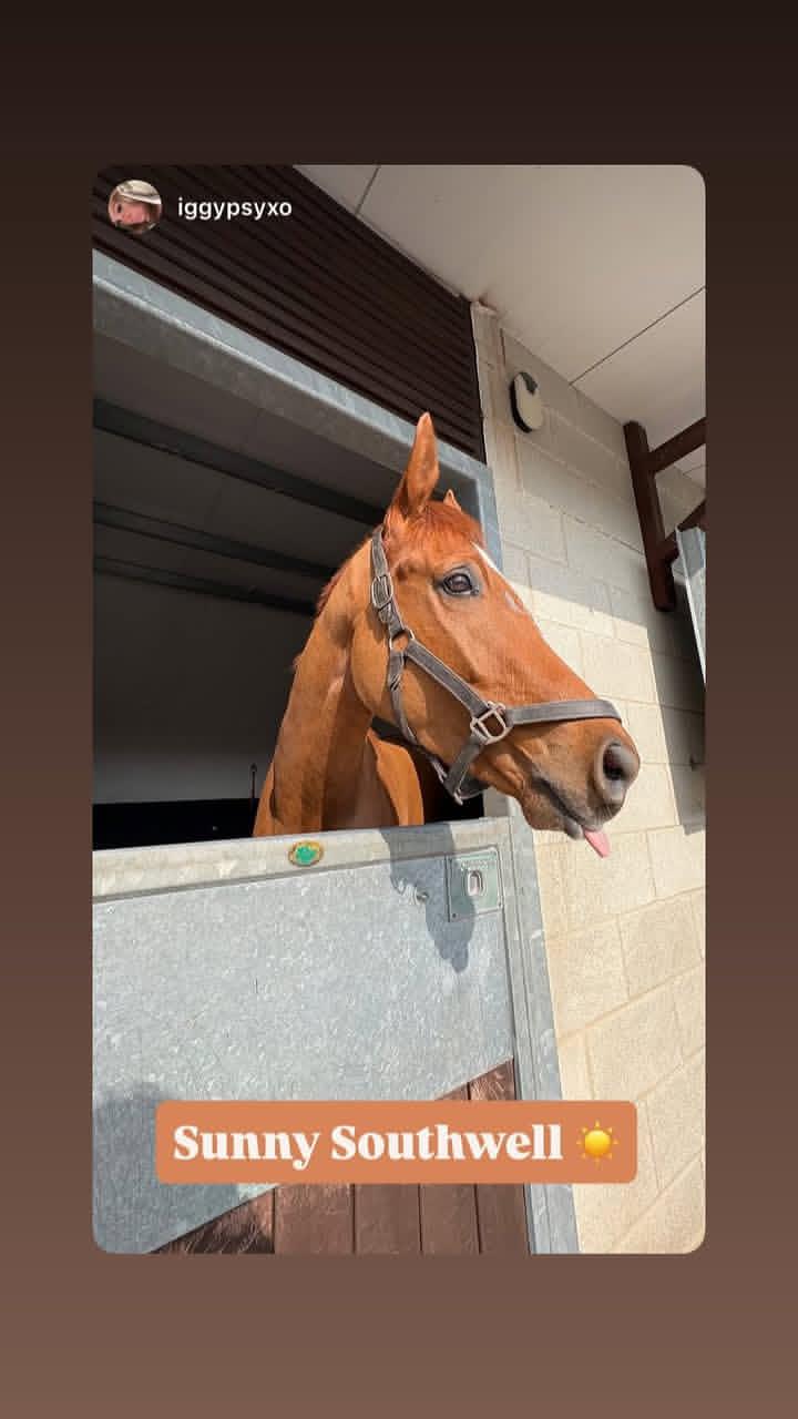 IMG_20260321_164233_325