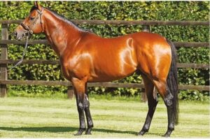 Mayson 2 2026-04-25 at 23.13.07