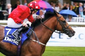 Mayson 2026-04-25 at 23.06.35