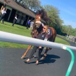 Tommo's GingaNinja1 2026-04-24 at 17.48.54