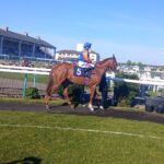 Tommo's GinjaNinja 2 2026-04-25 at 20.02.37