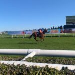 Tommos GinjaNinja 2026-04-24 at 17.49.00