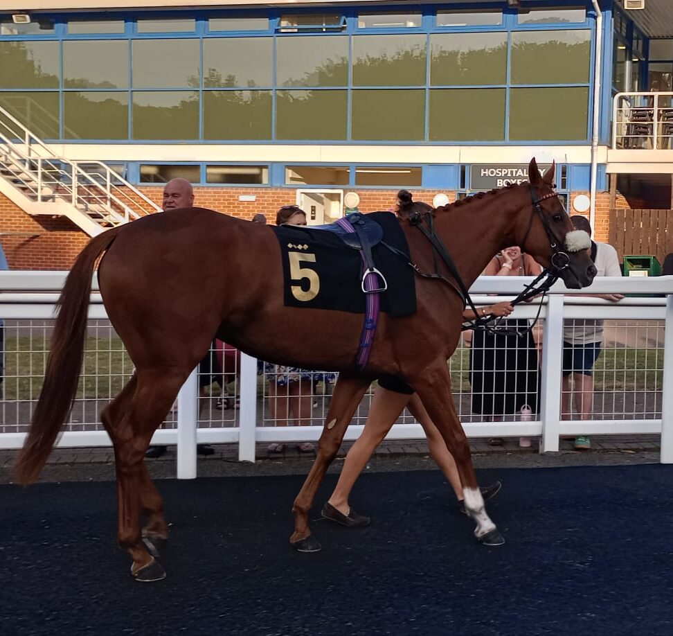 Tommo’s GinjaNinja Notts 2 11-08
