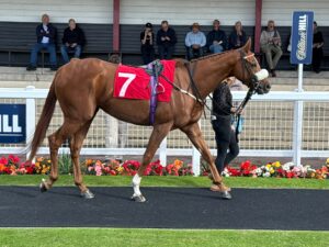 Redcar 2 03-10-26