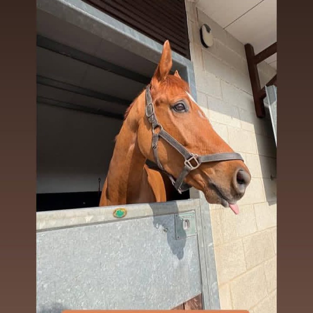 IMG_20260321_164233_325