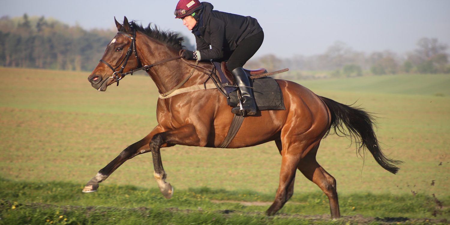 What What What 2026-04-14